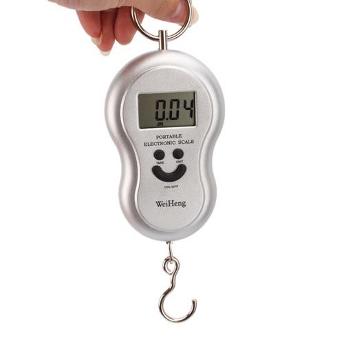 10g 40kg Digital Hanging Luggage Fishing Scale Silver  