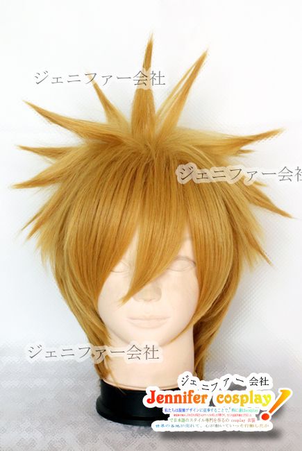 Katekyo Hitman Reborn Giotto Cosplay Wig Costume  