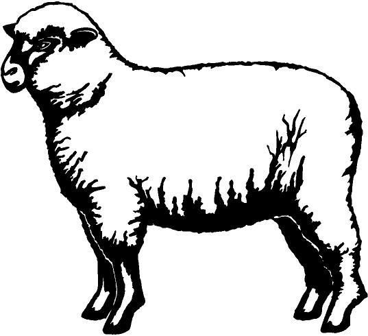 Sheep Vinyl Decal Car Cycle Truck Window Sticker  