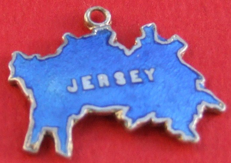 VINTAGE SILVER TLM ENAMEL JERSEY BRACELET CHARM  