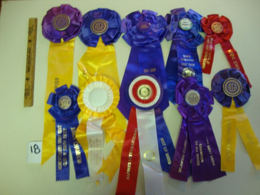 Goat Show Prize Ribbons 1970’s Horseshow Style Dairy Alpine Nubian 