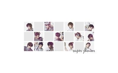 Super Junior SuJu Laptop Netbook Skin Cover Sticker  