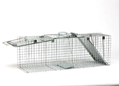 Havahart® Large Easy Set® 2 Door Raccoon Trap 1064  