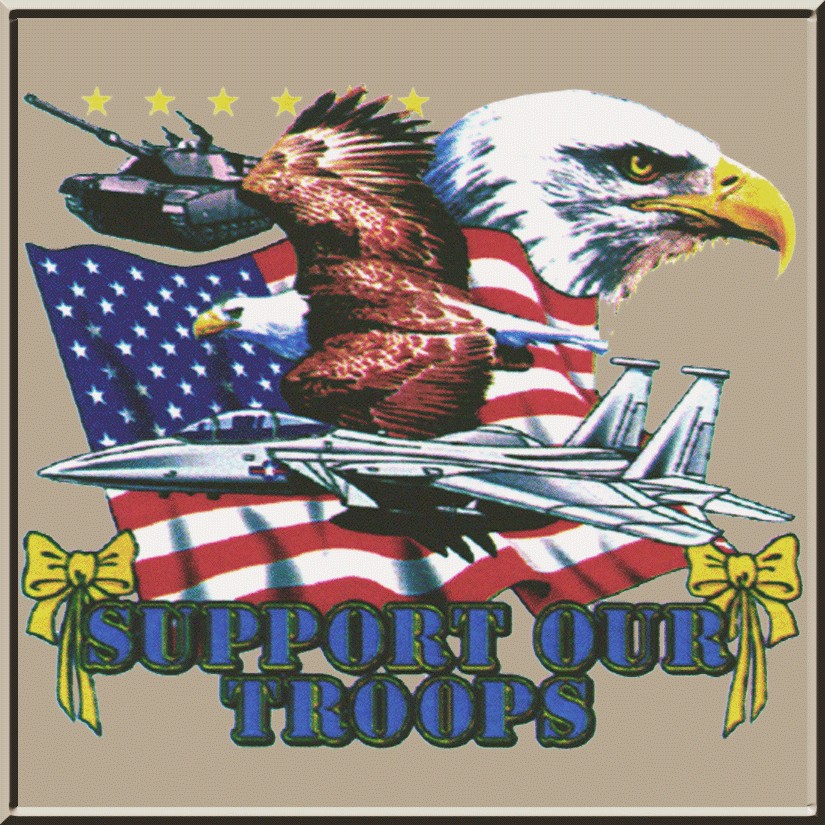 Support Our Troops Eagle Tank Jet T Shirt S 2X,3X,4X,5X  