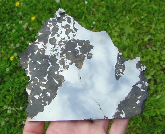 RICH OLIVINE METEORITE PALLASITE SEYMCHAN SLICE 278g  