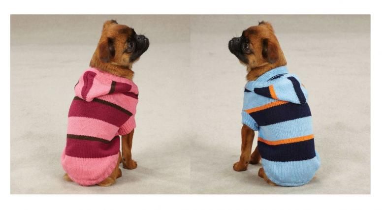 hem available in black and raspberry striped knit dog hoodies