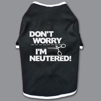 DONT WORRY IM NEUTERED boy Dog Shirt BIG SIZES XXL 5XL  